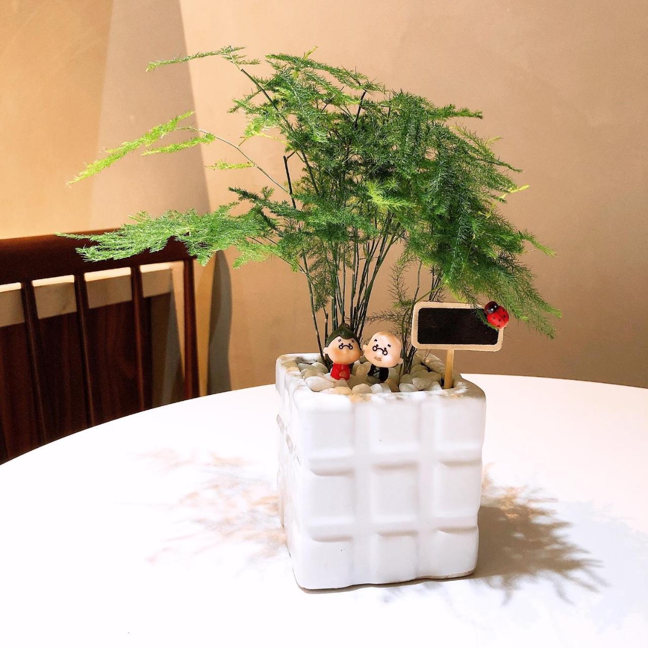 Nha La Homestay Hanoi Eksteriør billede